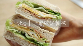 减脂餐带饭三明治 ee5a3cb13a64634e9f72bc2e145fb41187b4f669.jpg@280w_158h_1c_100q.jpg