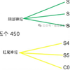 腰丛的神经支配