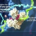 精美的RNA干扰视频，庞大的分子机器
