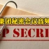 阴谋集团秘密会议音频泄露