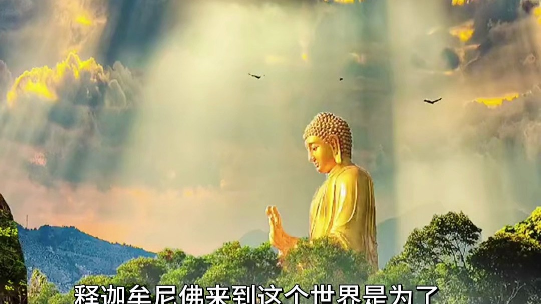 释迦牟尼佛来到这个世界是为了告诉你实相的！