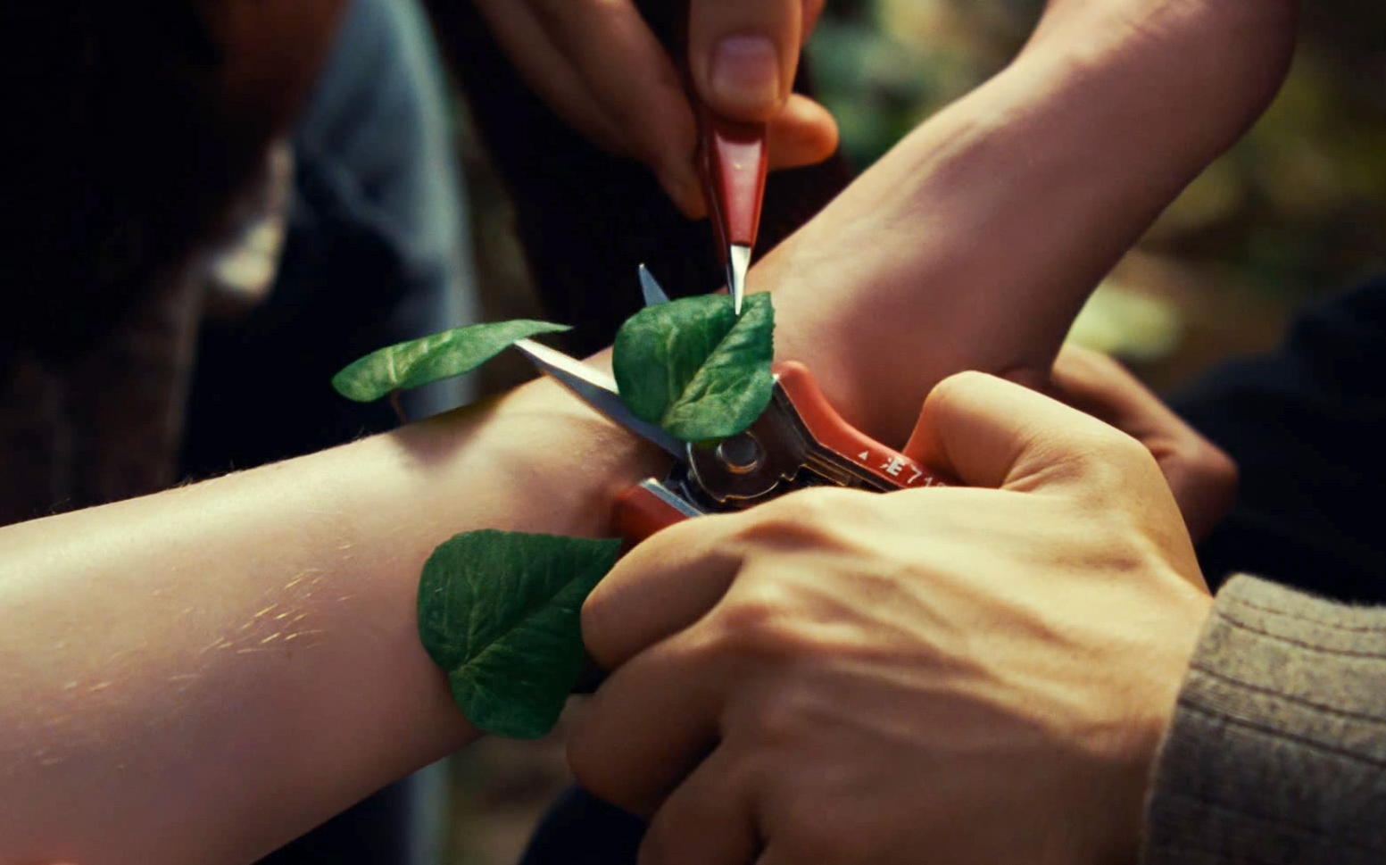 【越哥】男孩腿上长了8片树叶，妈妈找植物专家剪掉，一剪刀下去悲剧了！