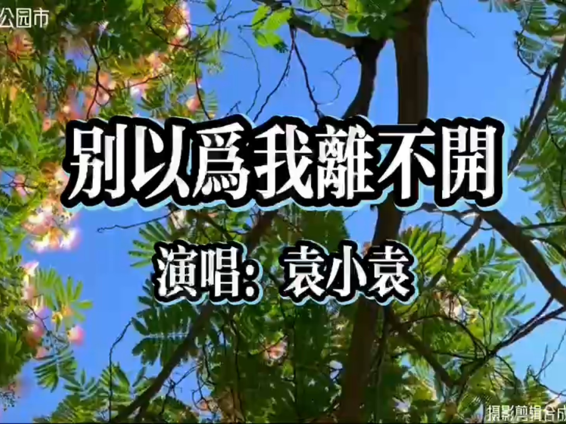 《别以为我离不开》-袁小袁 我能拥你入怀，也能把你忘怀...！实景拍摄鲍德温公园市。