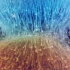 如梦似幻的视觉短片：颜料与水的绝美融合
