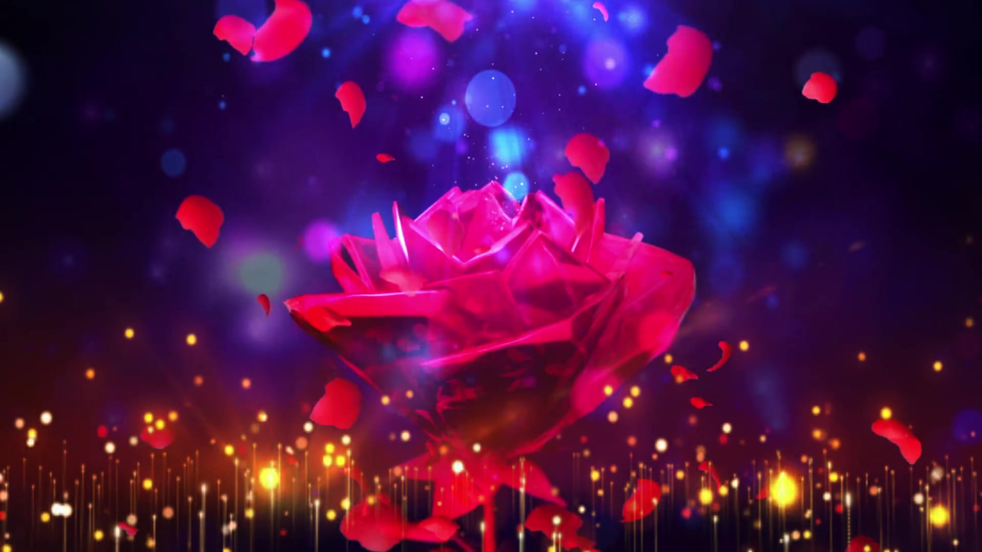 玫瑰玫瑰花配乐成品