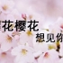 【3F/紫羽君】樱花樱花,想见你【原创PV付】
