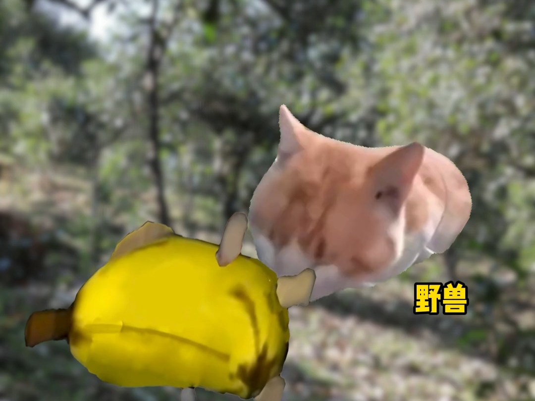 某些小说的离谱设定（1）