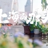 彩虹新歌《上海的那头》，有谁不想在此地谈恋爱！