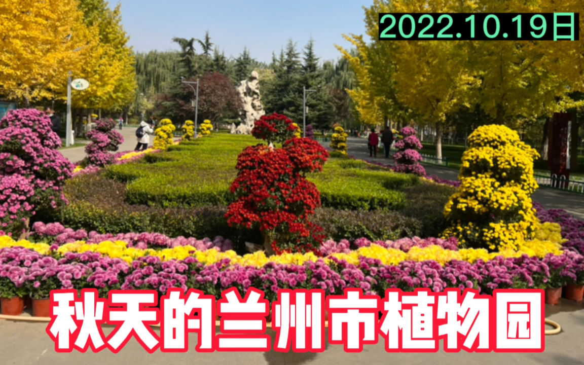 10.19 排除万难去兰州植物园赏金秋美景