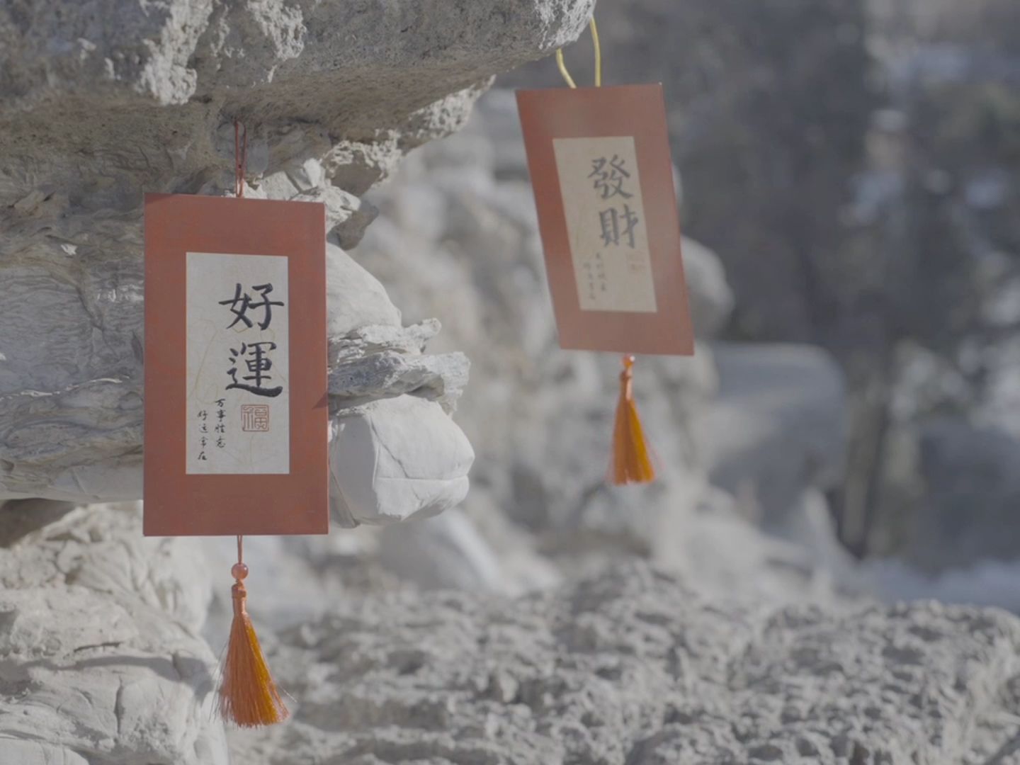 达芬奇调色练习素材分享 197