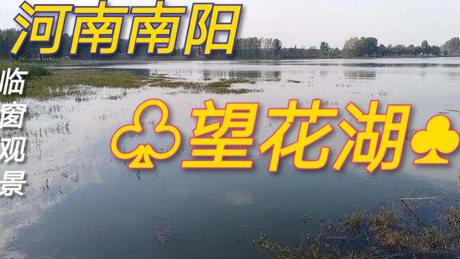 河南南阳：方城县第一大湖，望花湖！