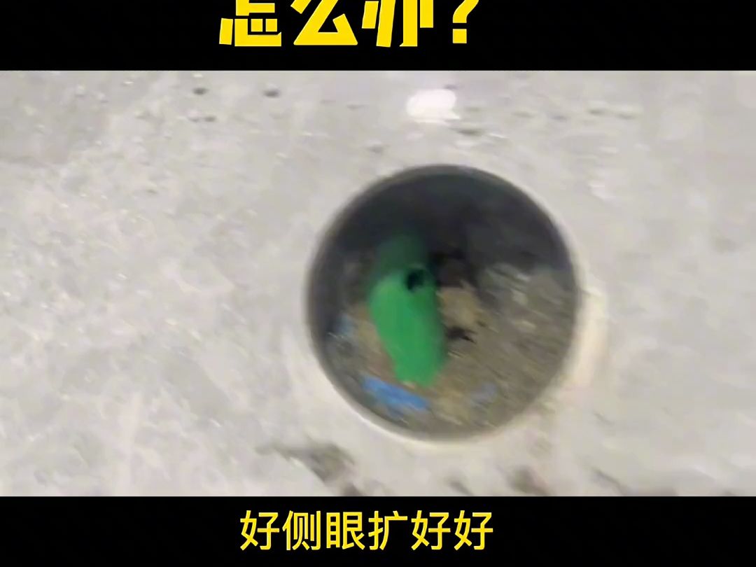 不小心打到水管怎么办？教你微创修复法 #维修技巧分享 #漏水维修教程 #上海漏水维修