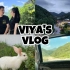 【viyaaaa】vlog#83 跟我一起去山里玩两天吧 | 郑州周边游 | 重渡沟 | 民宿