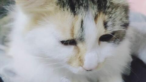 ef39ea3b242be46b42ac61d54ecd16c661840c1c.jpg@480w_270h_1c