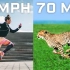 为什么人类不能以猎豹的速度(每小时70英里)奔跑