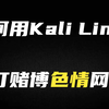 华为大佬教你如何用Kali Linux暴打赌博色情网站 网络安全入门到精通教程