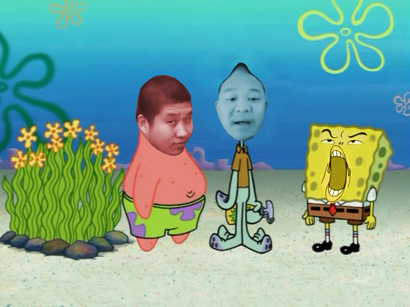 ⚡海 藻 宝 宝⚡