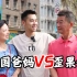 中国爸妈vs歪果仁，在美国挑战只说中文，能成功吗？