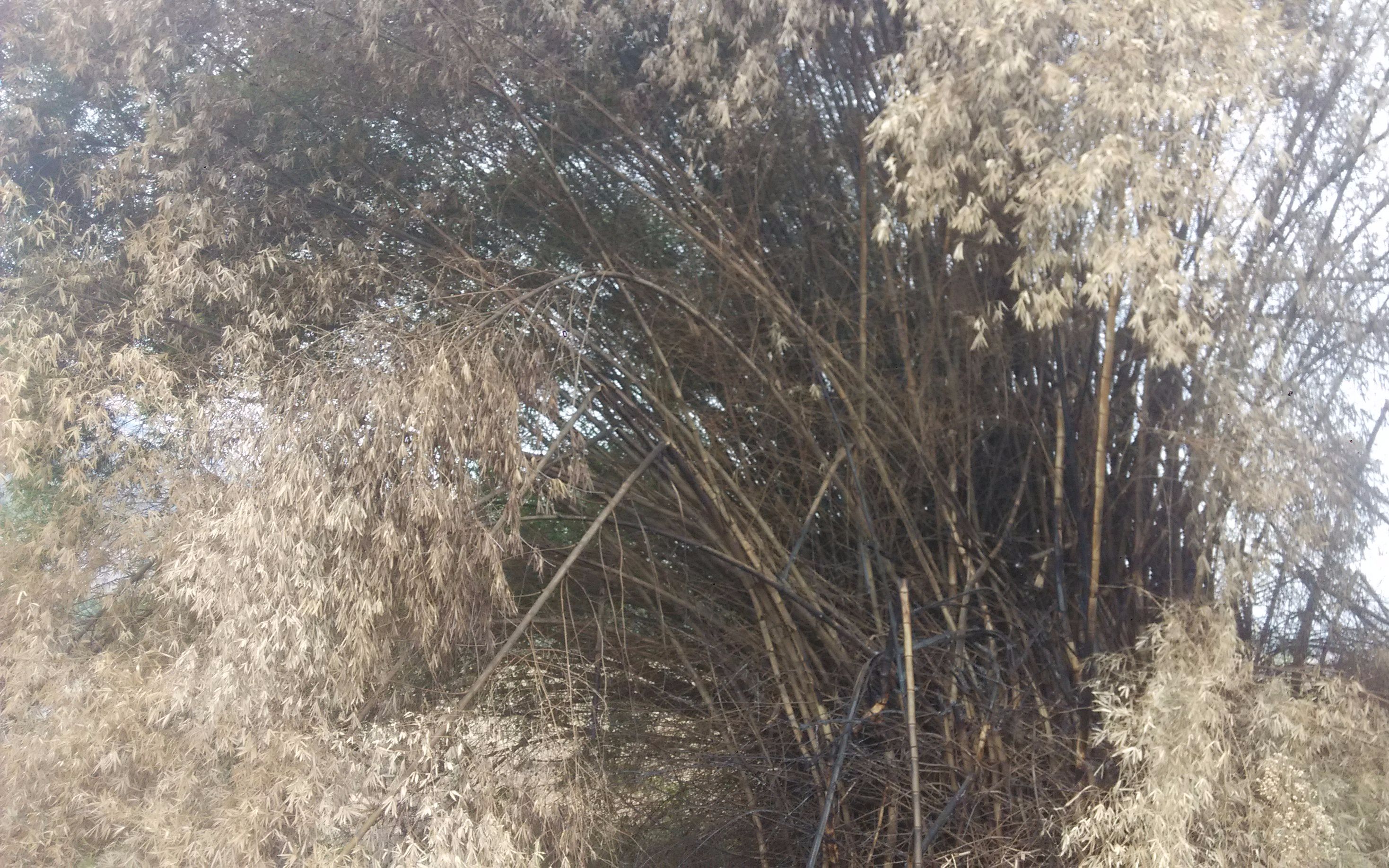 01_日常_生活_bilibili_哔哩哔哩