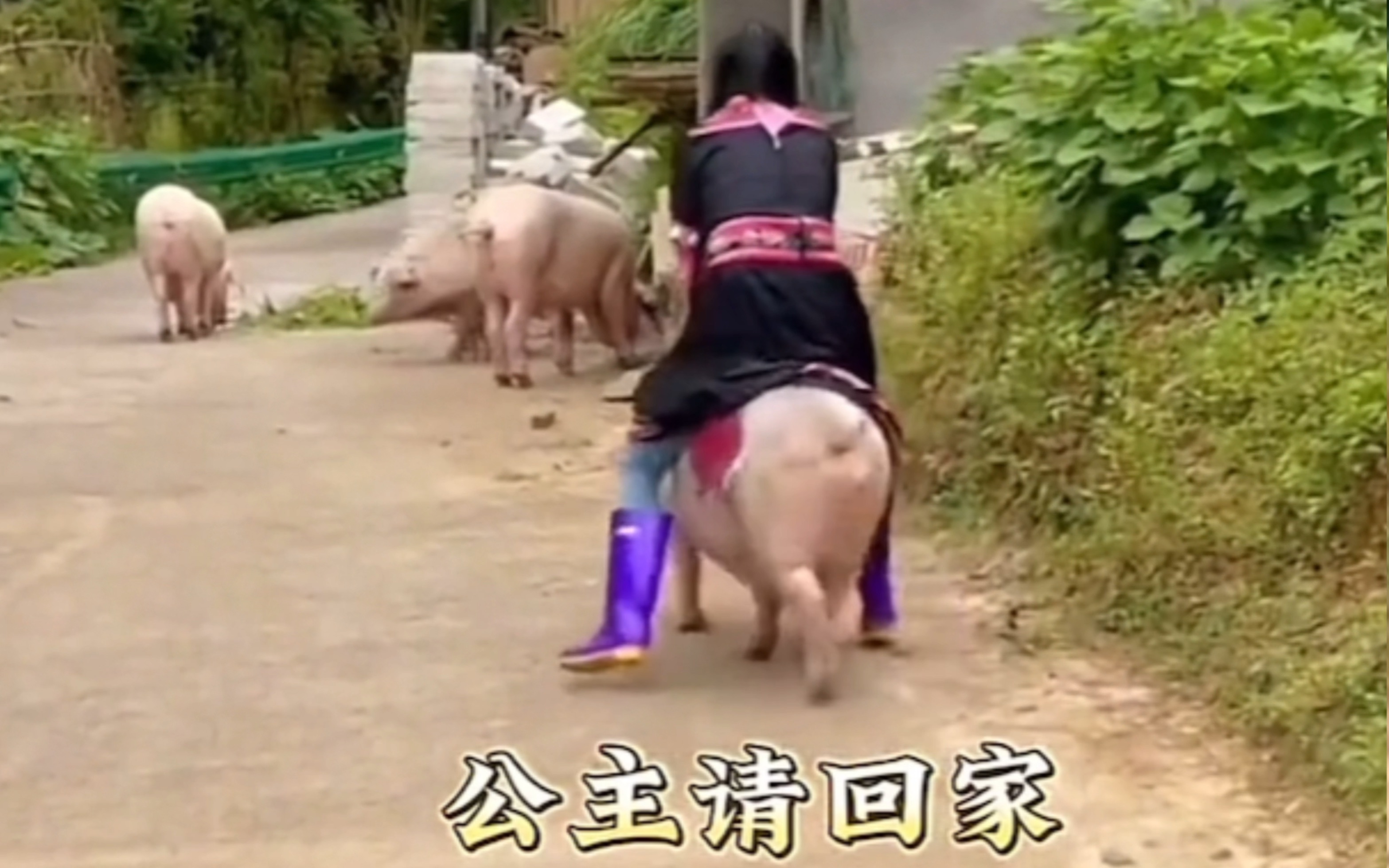 Princess, please come home.