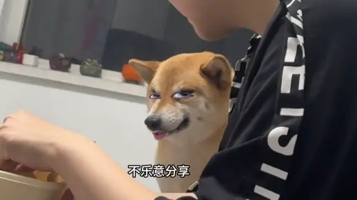 把谄媚具象化的表演