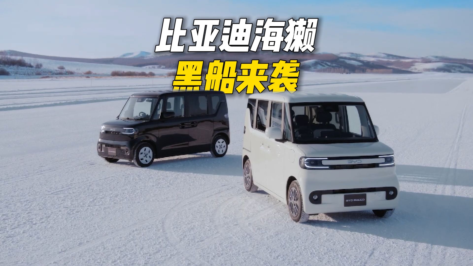有日本人买了比亚迪海獭，被400条评论狂喷了一顿