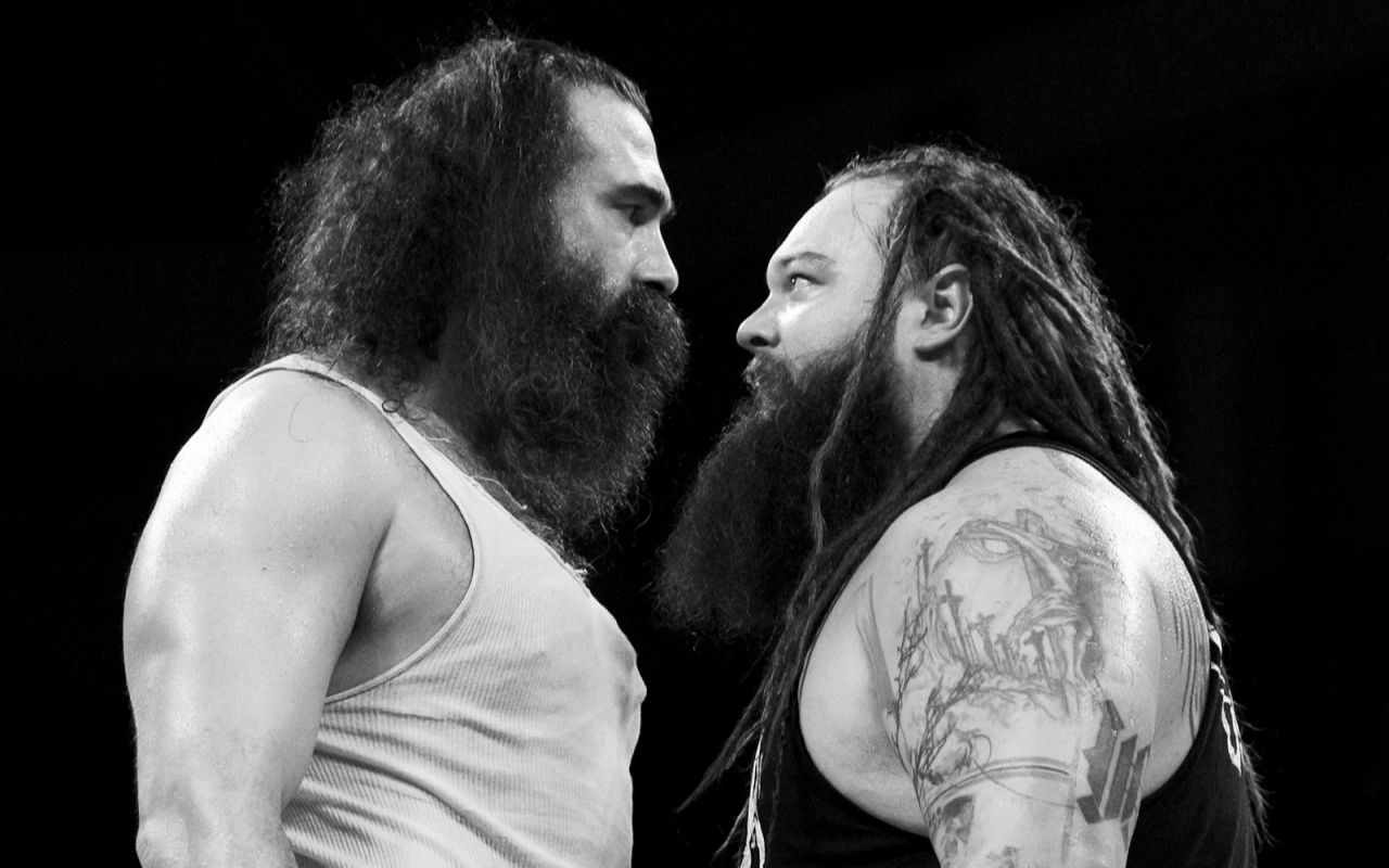 bray wyatt vs. luke harper - wwe sd live fancam