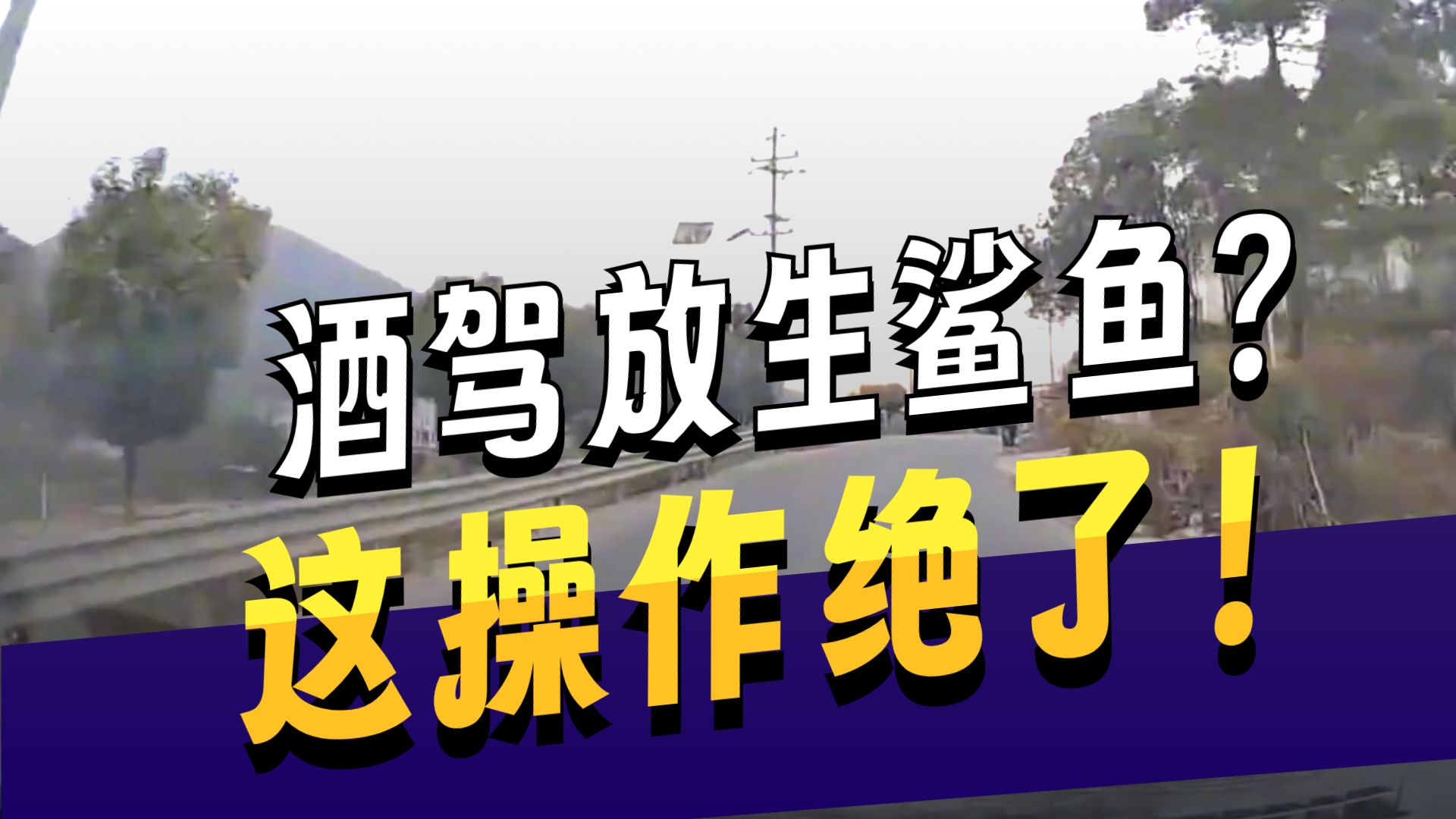 交通案例：大妈别超车逃跑，幸亏头盔救命