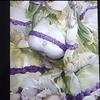 单身久了看什么都像