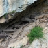 云南昭通豆沙关，悬崖上有7具棺木，至今已有700年，居然没腐蚀