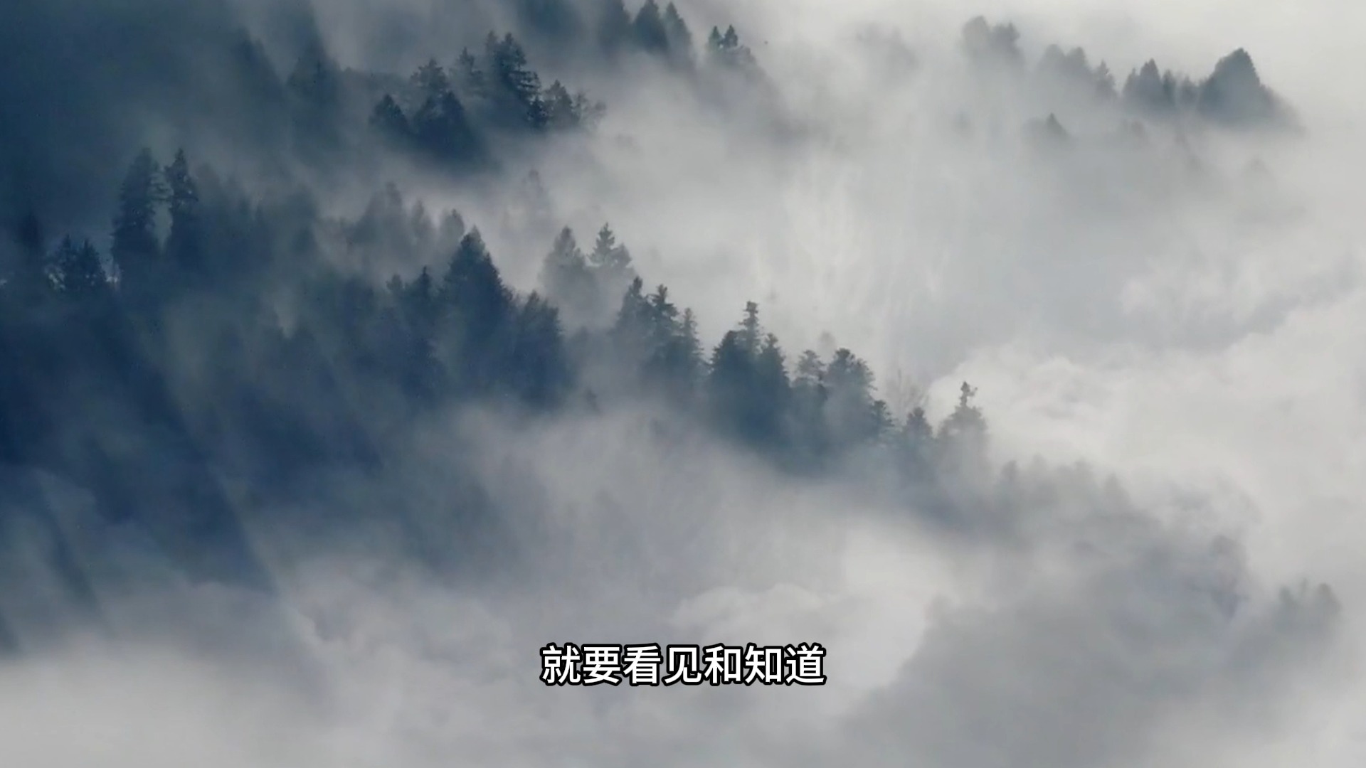 普通人如何才能踏上修行之路？送给有缘人的实修指南！它并没有你想像的那么难！