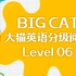 Big Cat - 大猫英语分级阅读绘本 Level 6（共22本）【适用小学2~3年级】
