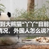 看到大熊猫“丫丫”目前的情况，外国人怎么说？