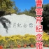 实拍以曹雪芹红楼梦为主题的北京曹雪芹纪念馆，也是曹雪芹的故居