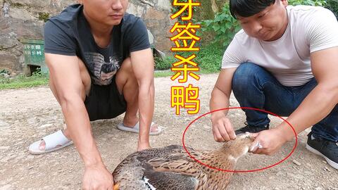 f091524f945ea8029b2e67f4a375160f427a9d39.jpg@480w_270h_1c