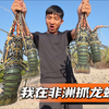 《科摩罗》第3集：独闯非洲红树林，大青蟹还未开始抓，竟先发现大龙虾老巢，随便一抓就收获满满