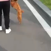 想让妈妈抱着的豆豆