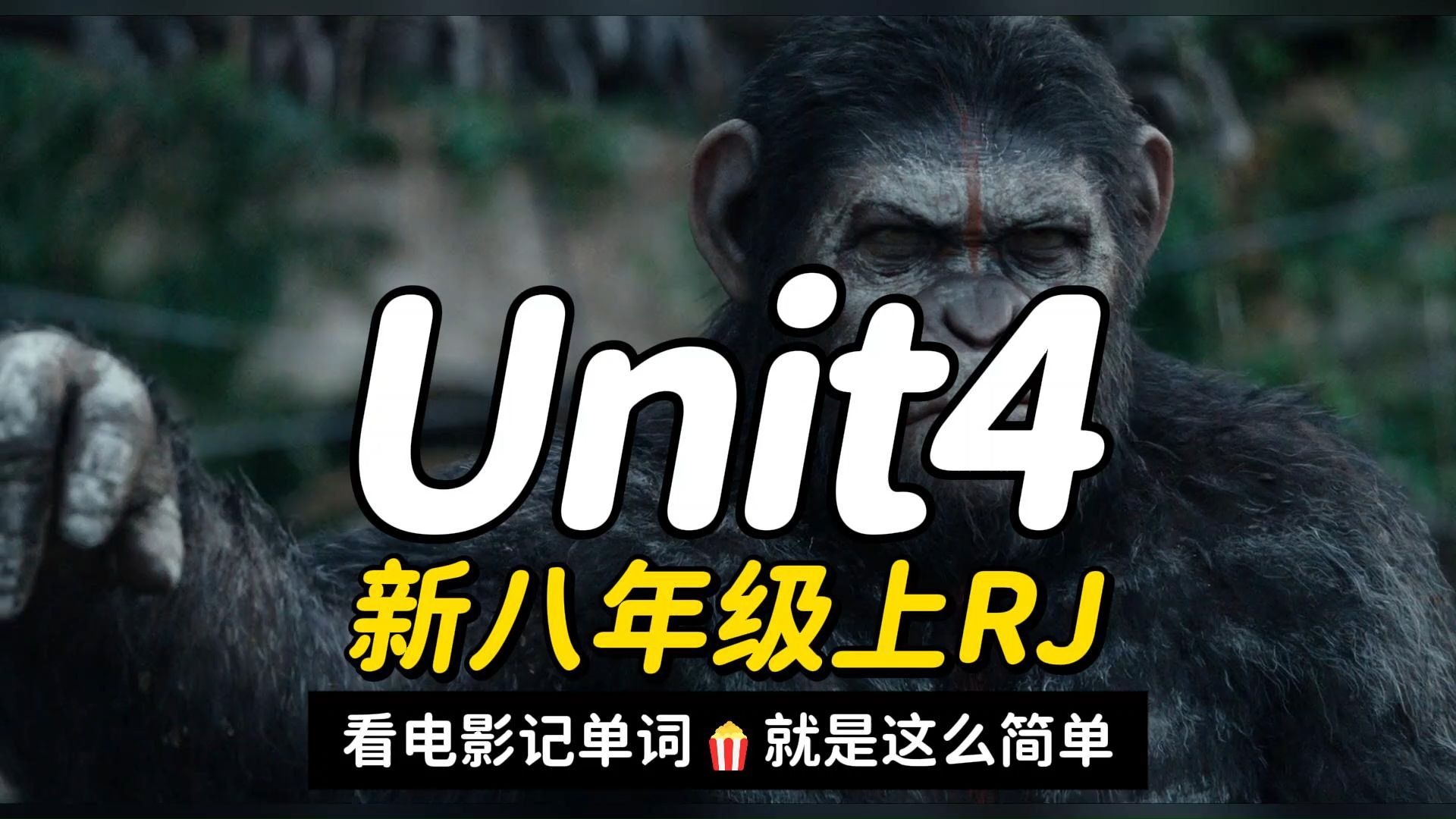 25年秋季新人教版八年级上册英语Unit4单词助记视频-看电影背单词,就是这么简单