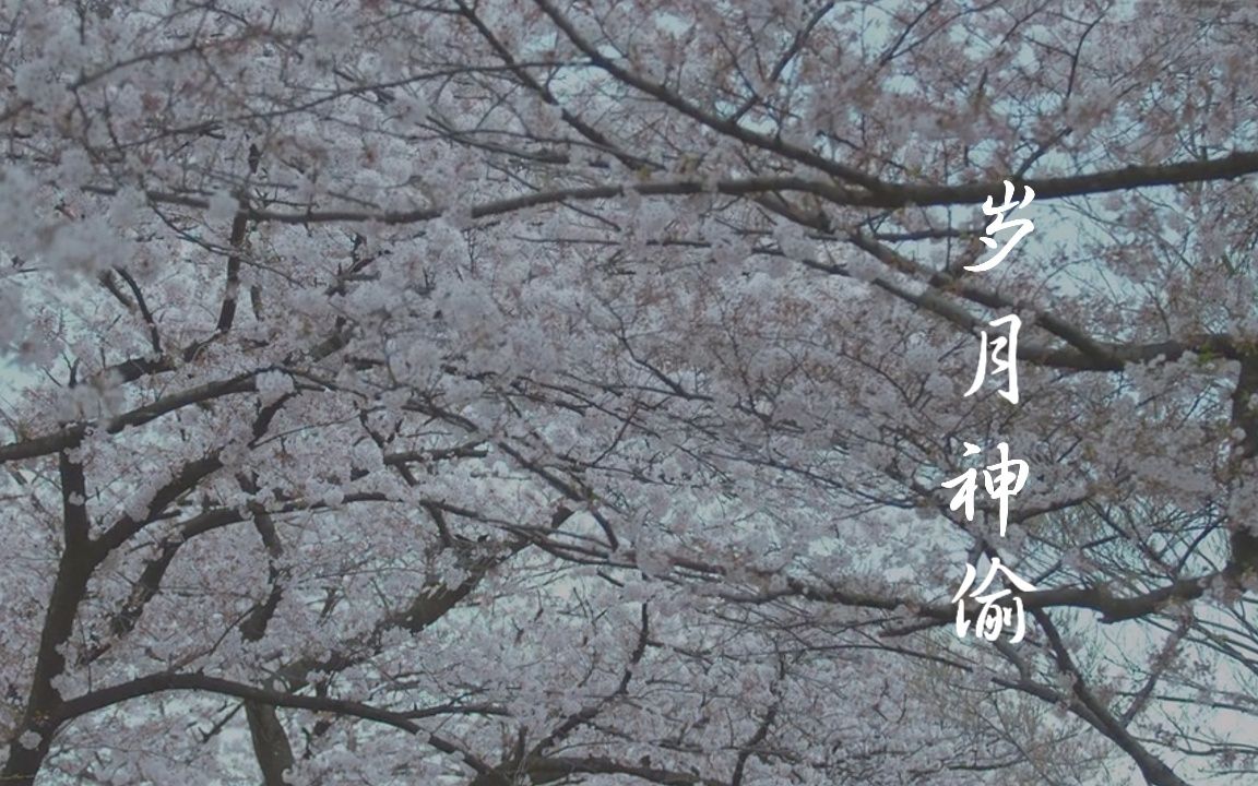 岁月神偷