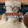 这是谁家的小猫咪？感冒了都那么可爱