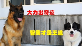 f1690d86a6a2335857210f4abd57b83e8d4bd054.jpg@280w_158h_1c_100q.jpg