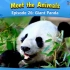 认识动物：大熊猫 Meet the Animals Giant Panda