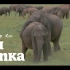 Ibrahim Kamit | 斯里兰卡之旅 TRIP TO SRI LANKA