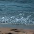[自制小短片]夏天里一定会有关于大海的故事I尼康D5600