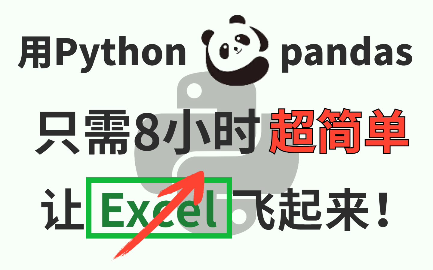 【Python数据分析-用pandas玩转Excel】零基础入门超简单！只用8小时 让你的Excel操作飞起来~