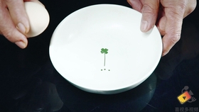 自己动手搭厨房灶台 f1af669d429fcce3b58dbcd531c4f1930ffc5fa2.jpg@280w_158h_1c_100q.jpg