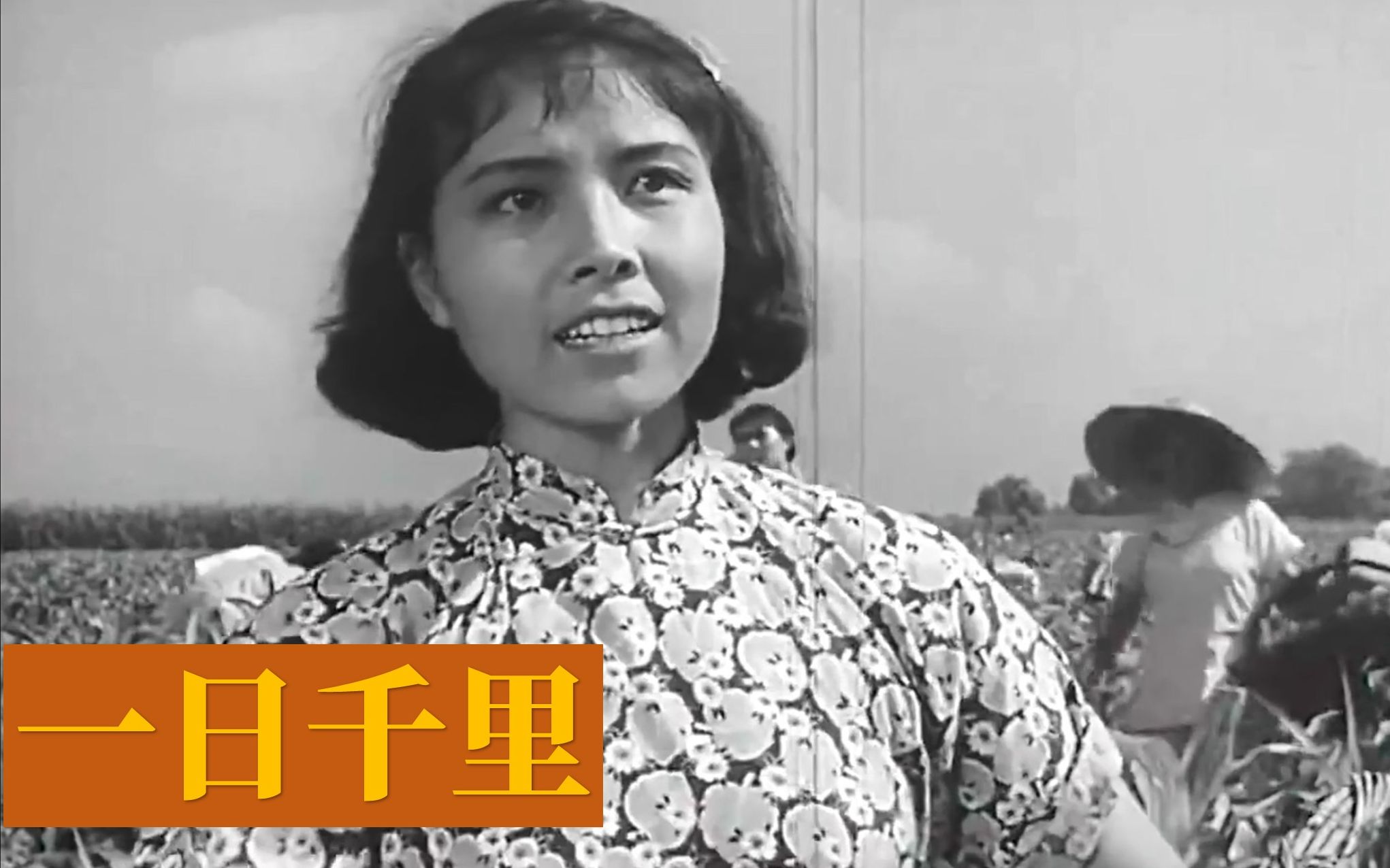 高清《一日千里》1958年 主演: 王晓棠 / 吴凡 / 李力 / 刘季云 / 李环