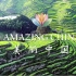 听力口语练习-Amazing China 美丽中国 (全46集) 中英字幕