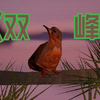 《双峰》OP，但是像素风