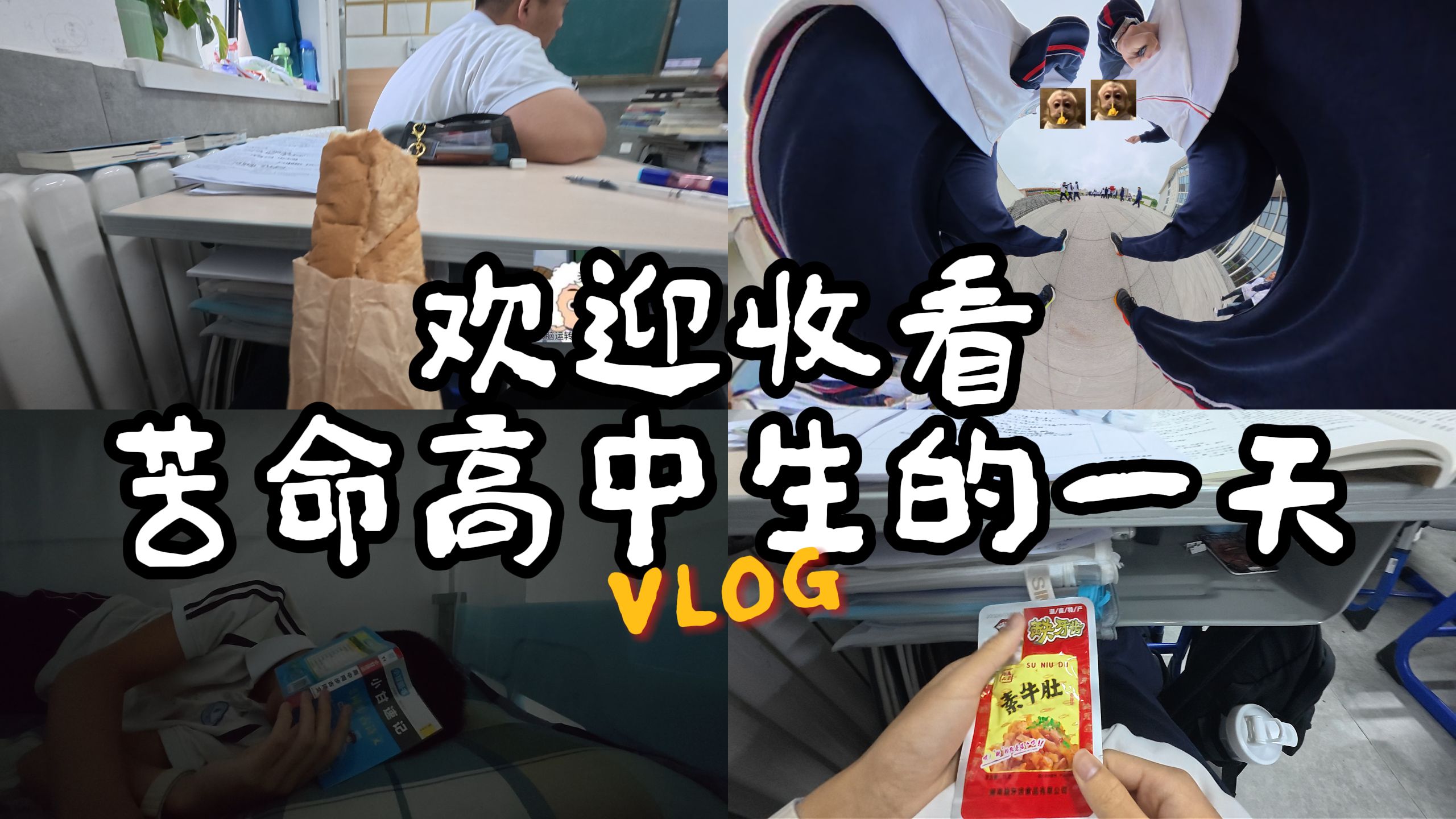 欢迎收看苦命高中生的一天